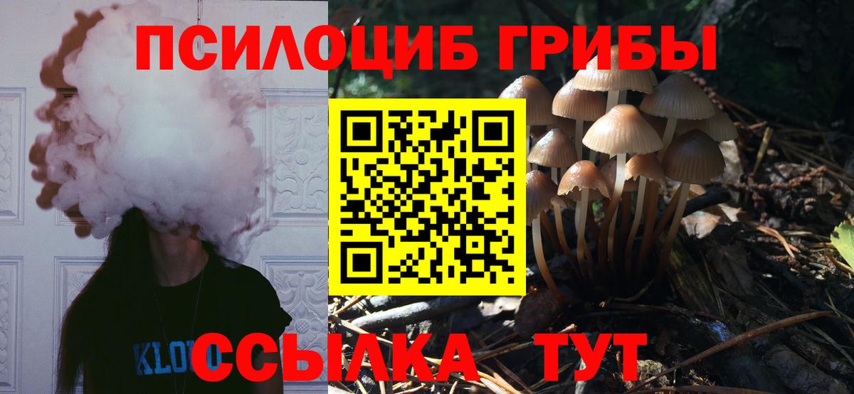 Бахчисарай  Галлюциногенные грибы ЛСД  Вход с VPN 
